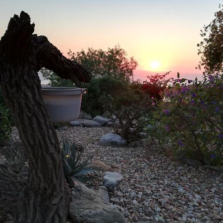 Onze Uitsight Cottage Сейнт Хелена Бей Екстериор снимка